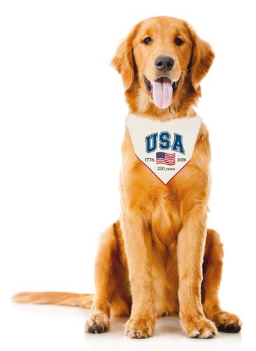 Patriotic Dog Bandana | 4th of July | Memorial Day | USA | Independence Day | Fourth of July
