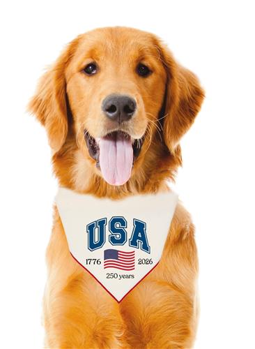 Patriotic Dog Bandana | 4th of July | Memorial Day | USA | Independence Day | Fourth of July