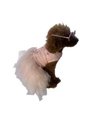 Mademoiselle Coco Tutu, Pink on Pink