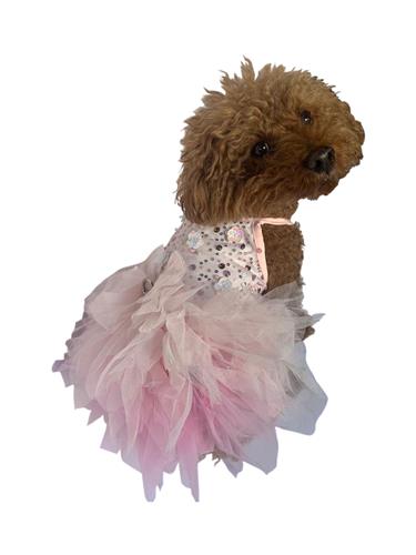 "I’m Gorgeous!" Ombre Tutu Dress