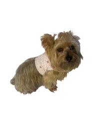 No. 5 Tweed Harness, Pink