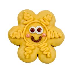 Bosco & Roxy's | Smile into Spring 2026 | NATURAL Sunbeam Smiles | 16/case