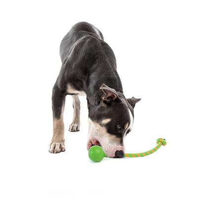 GURU Single Squeaking Rope