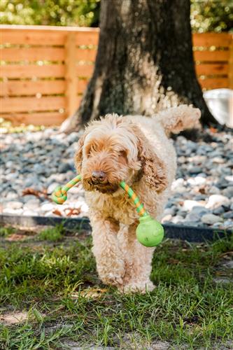 GURU Single Squeaking Rope