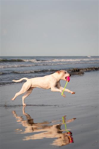 GURU Fry Guys Floats ‘Kiki'