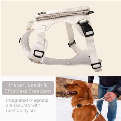 TUG Grab Dog Harness with Integrated Magnetic Leash - Cream