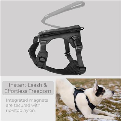 TUG Grab Dog Harness with Integrated Magnetic Leash - Black