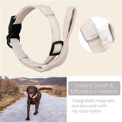 TUG Grab Dog Collar with Integrated Magnetic Short Lead - Cream