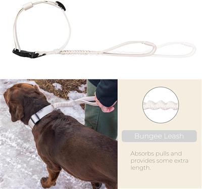 TUG Grab Dog Collar with Integrated Magnetic Short Lead - Cream