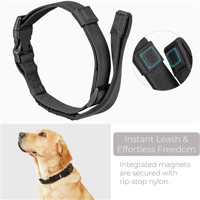 TUG Grab Dog Collar with Integrated Magnetic Short Lead - Black