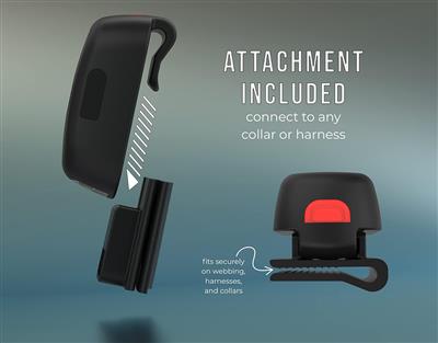 TUG Rechargeable LED Dog Light for Night Walking - Clip-on