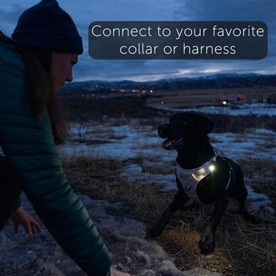 TUG Rechargeable LED Dog Light for Night Walking - Clip-on