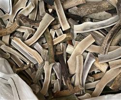ELK Antlers Split 8in Large - Grade C - Per Pound