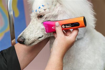 Andis ProClip™ 5-in-1 Clipper - Sunset