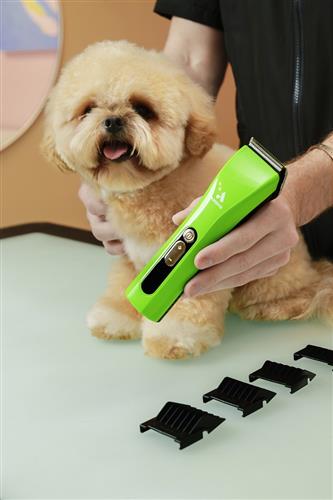 Andis ProClip™ 5-in-1 Clipper - Green