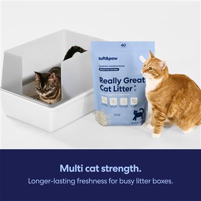 Really Great Cat Litter Odorstop (5-pack)