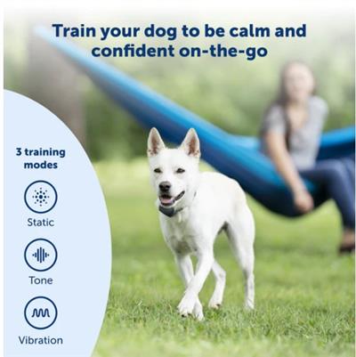 PetSafe Remote Trainer 100, 300, 600 Yard Lite & Regular