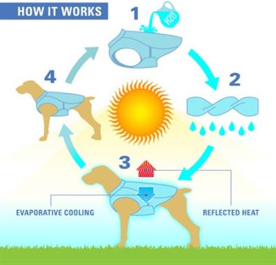 Kurgo Core Cooling Vest - Icy Bluestorm