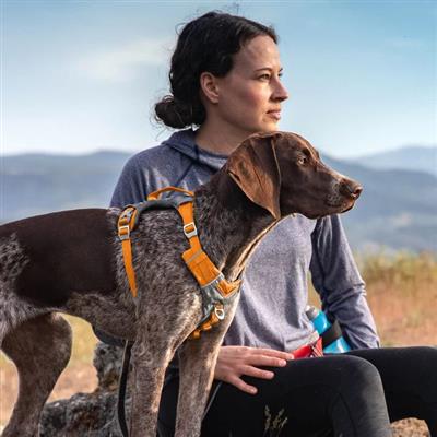Journey Air Dog Harness - Discontinued Colors/Sizes