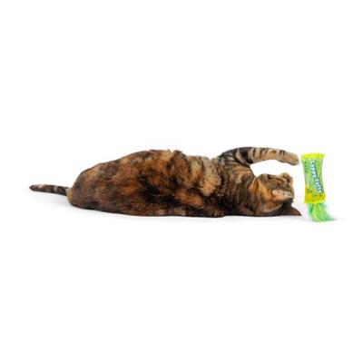 Lappy Taffy Cat Toy