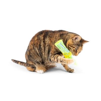 Lappy Taffy Cat Toy