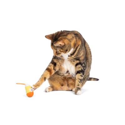 Kookie Korn Flinger Cat Toy