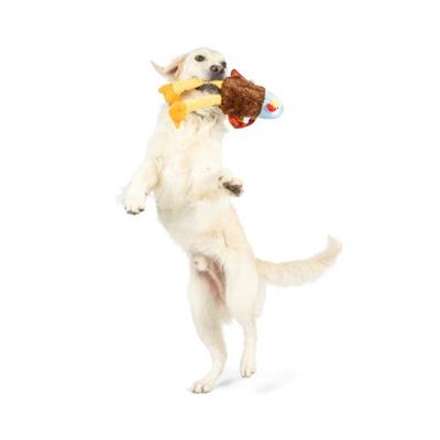 Lankies Feathertail Turkey Dog Toy