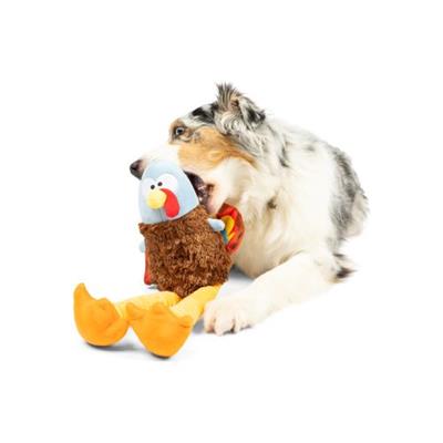 Lankies Feathertail Turkey Dog Toy