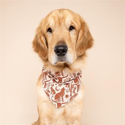 Western Wild Dog Bandana