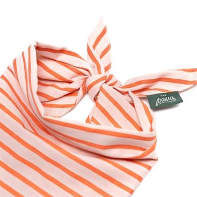 Palm Beach Stripe Dog Bandana