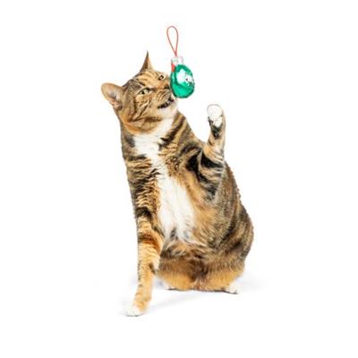 Ornament (Asstd. Colors) Flinger Cat Toy