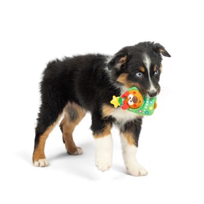 Pudgies Rocky Around Tree Toy