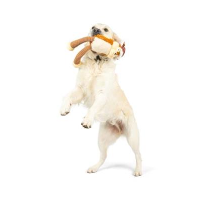 Lankies Sprucey Squirrel Dog Toy