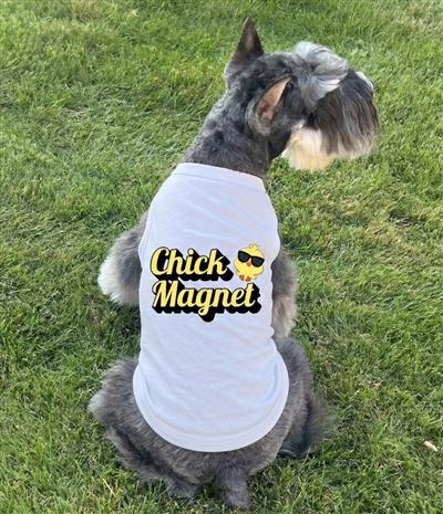Chick Magnet Dog Shirt - White