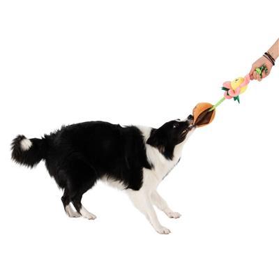Territory Dog Treat Tug Flower Pink 16 Inches