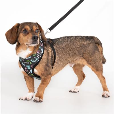 Connor Harness A by Puppia®