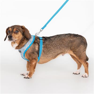 Westley Harness A by Puppia®