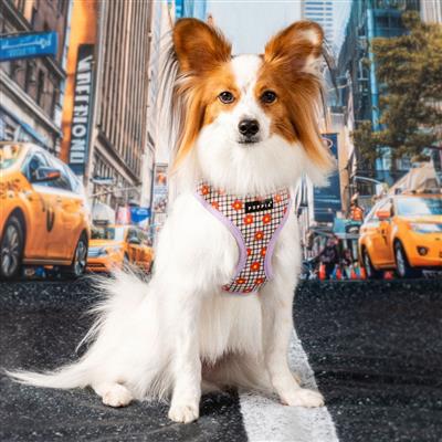 Westley Harness A by Puppia®