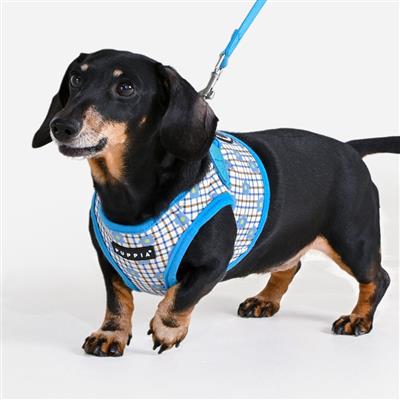 Westley Harness B by Puppia®
