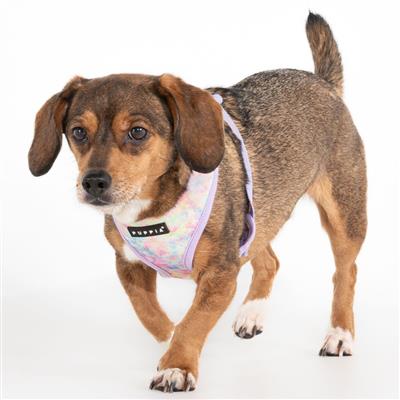 Nola Harness A by Puppia®