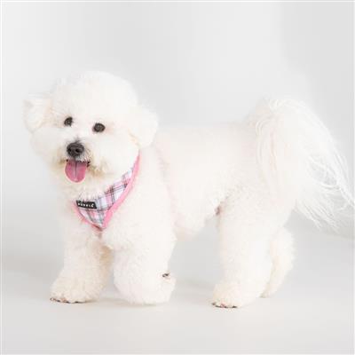 Windsor Harness A by Puppia®