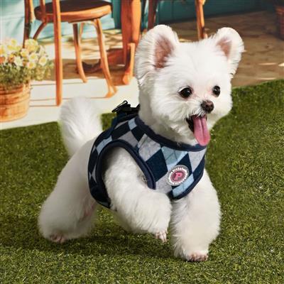 Solene Vest Harness by Pinkaholic®