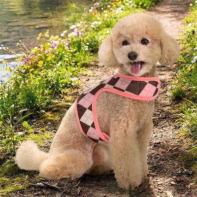 Solene Harness J by Pinkaholic®