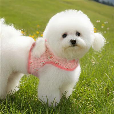 Trixie Harness J by Pinkaholic®