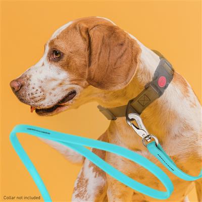 Viper Long Line Biothane Dog Leash with SPRENGER Stainless Steel Hook