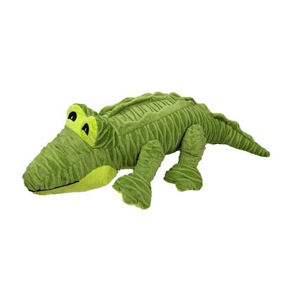 22" Groovyz - Alligator