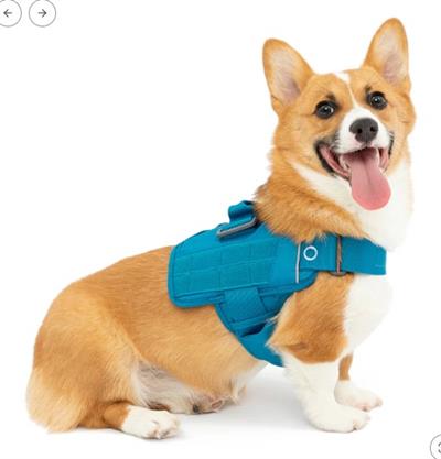 Kurgo RSG Townie Harness