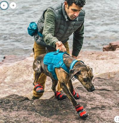 Kurgo RSG Townie Harness