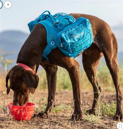 Kurgo RSG Accessories