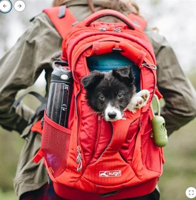 Kurgo G-Train K9 Dog Carrier Backpack - INK BLUE